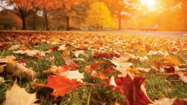 ¿Cuándo entra el otoño en 2020?