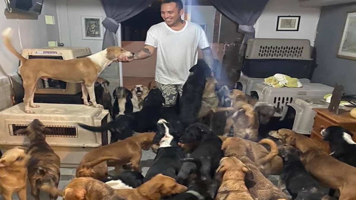 Hombre da asilo a 300 perros callejeros en su casa por huracán "Delta"