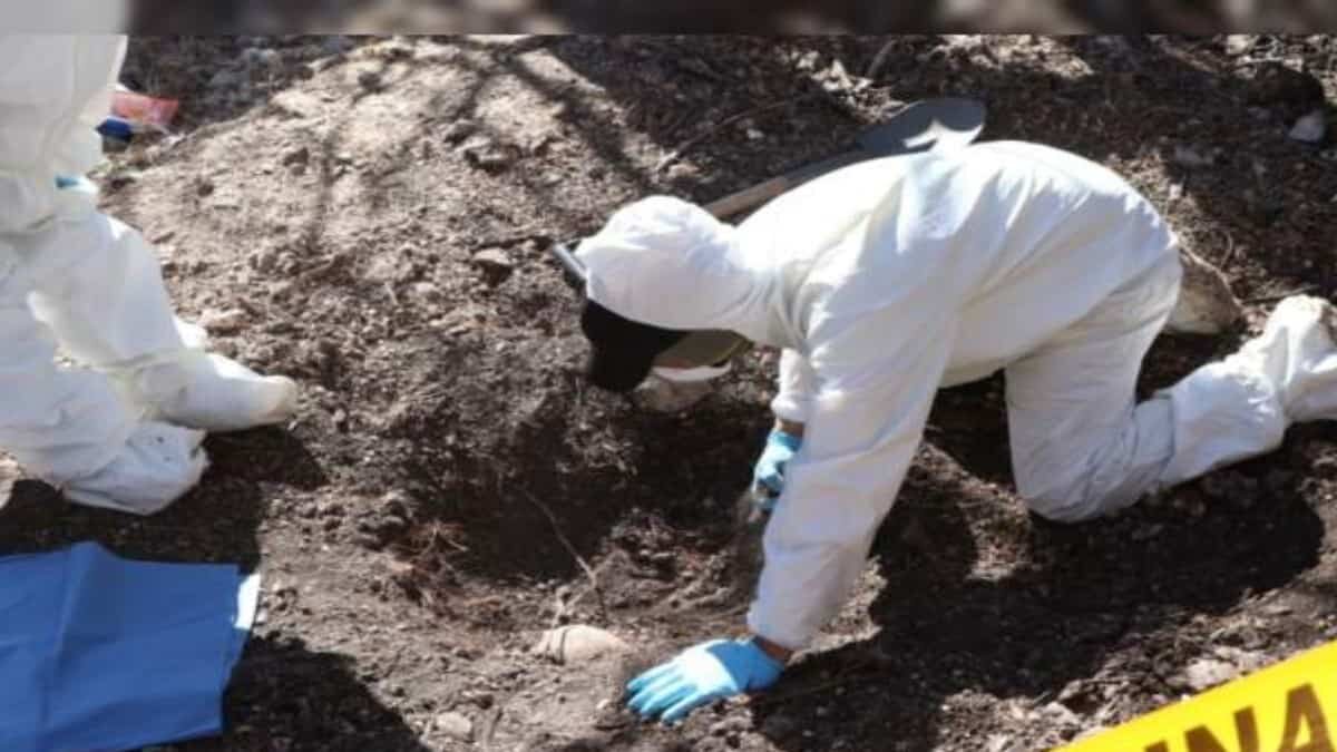 De acuerdo con cifras oficiales, el gobierno de Andrés Manuel López Obrador es el que más desaparecidos reporta en la historia de México.