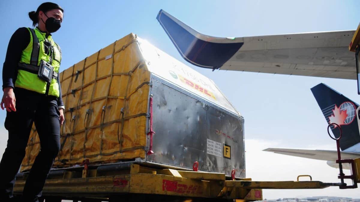 Este martes 23 de febrero llegaron a México más de 500 mil dosis de la vacuna desarrollada por el laboratorio Pfizer-BioNTech.