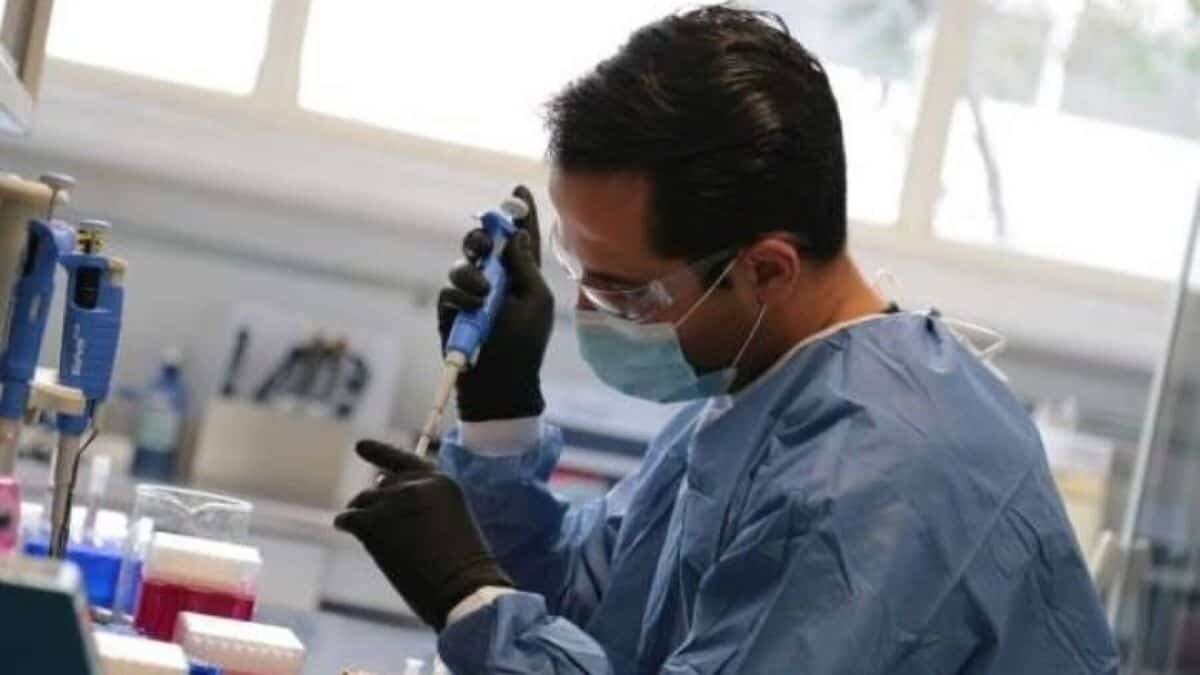 La Secretaría de Salud de Jalisco descartó la presencia de una nueva cepa “mexicana” de Covid-19, pero confirmó el primer caso de la variante brasileña en el estado.