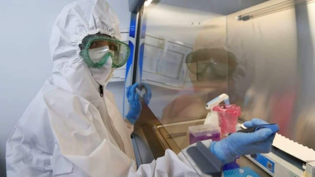 Descartan cepa mexicana de Covid-19 en Jalisco, pero encuentran una variante brasileña