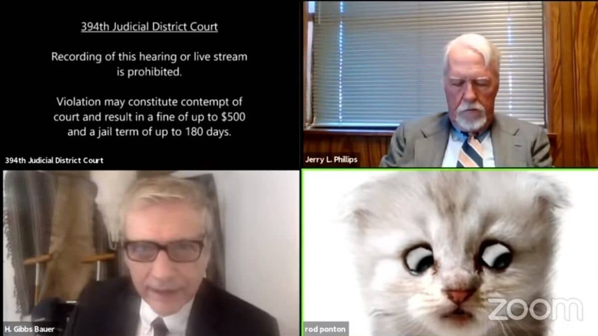 VIDEO: Abogado se viraliza por no poder quitar filtro de gato en audiencia virtual