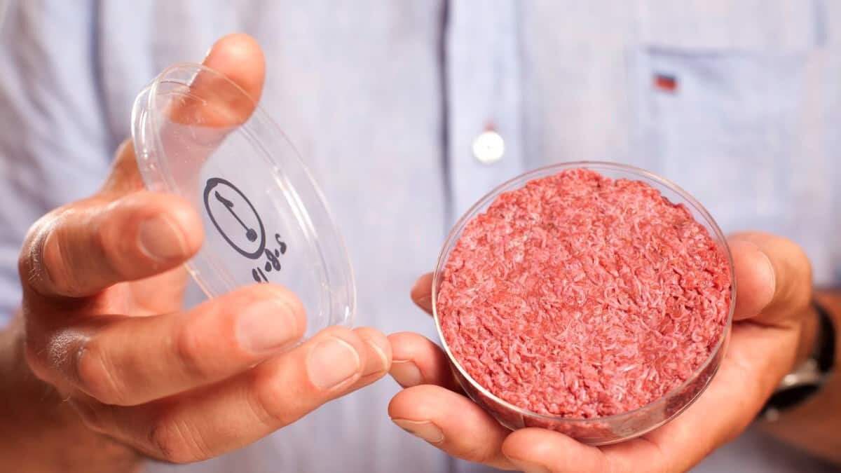Gates indicó que el consumo de carne sintética ayudaría a bajar las emisiones de gases de efecto invernadero.