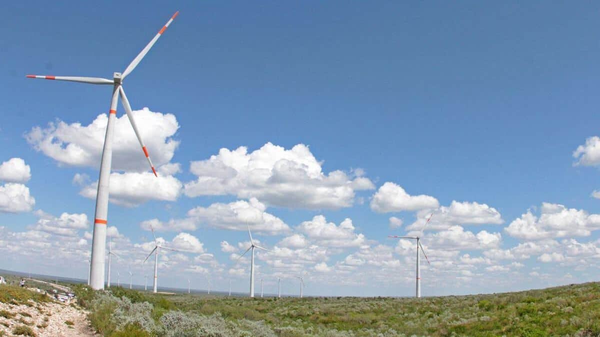 MÉXICO TRANSICIÓN ENERGÍAS RENOVABLES ORGANISMOS