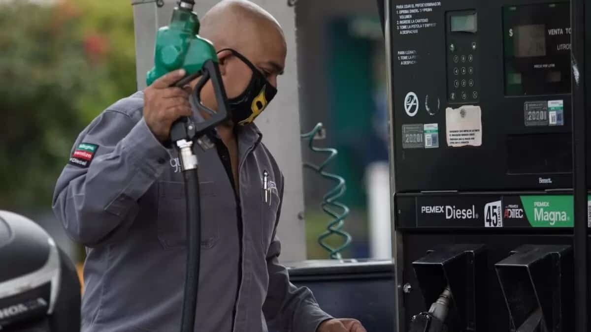 Esta será la primera vez desde 2019 que la gasolina Premium reciba un estímulo de la SHCP, debido al aumento del precio del crudo.