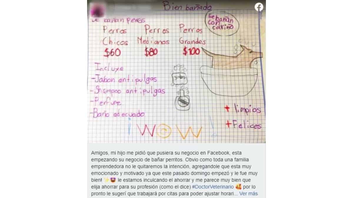 Con el fin de ahorra y financiar sus estudios como veterinario, un niño de 7 años emprendió su propio negocio en el que ofrece bañar perritos.
