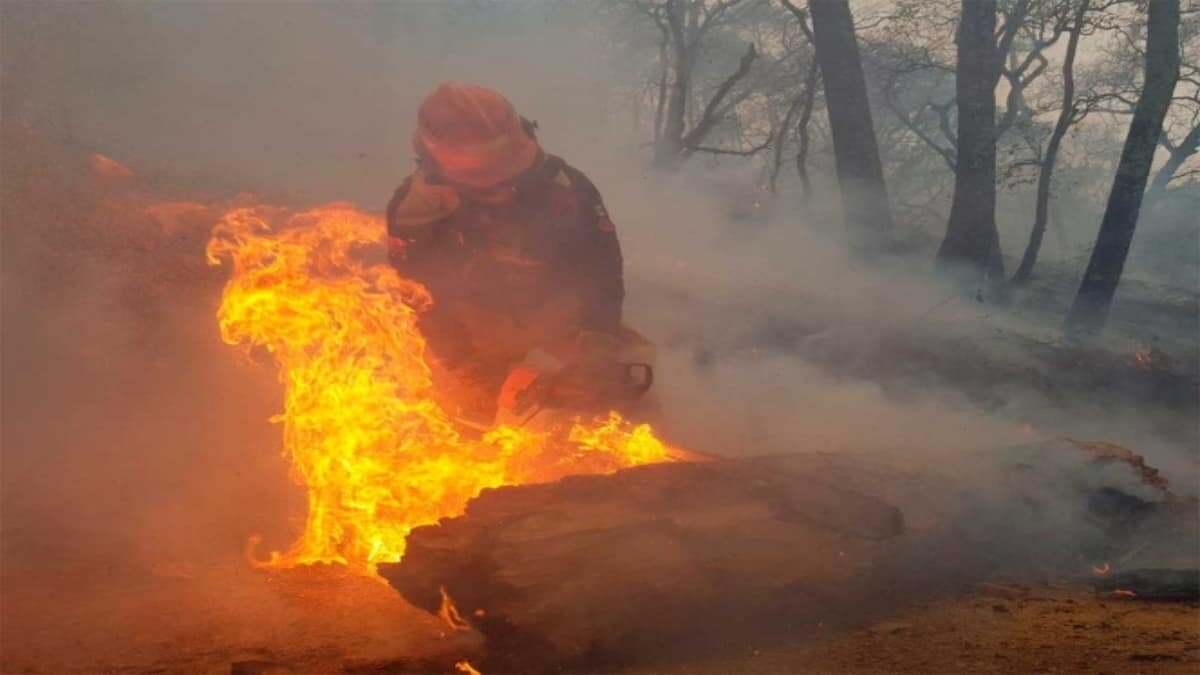 La Fiscalía General de Justicia del Estado en conjunto con la de Coahuila, continúan con las investigaciones para esclarecer qué inició el incendió en Arteaga, Nuevo León.