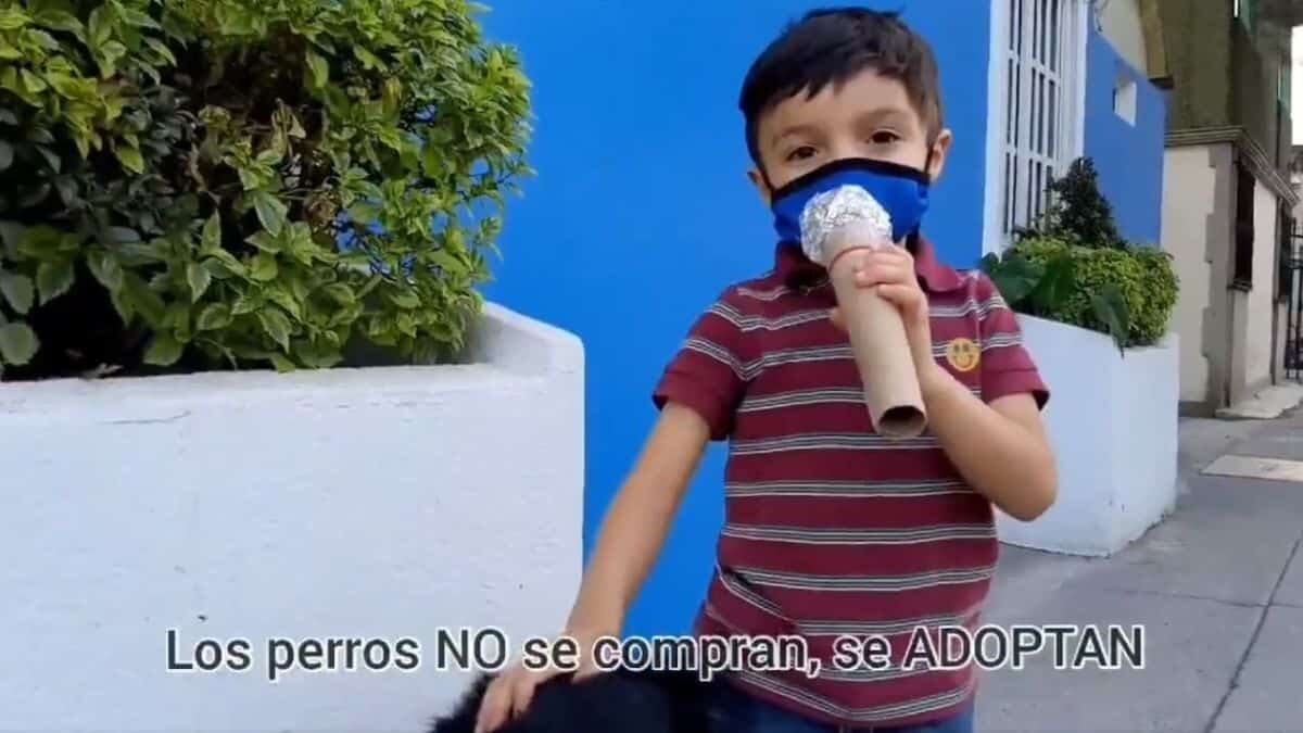 Santi, es un niño de 4 años que conquistó las redes sociales al realizar un reportaje sobre los perritos de la calle para documentar su búsqueda de “negrito”.