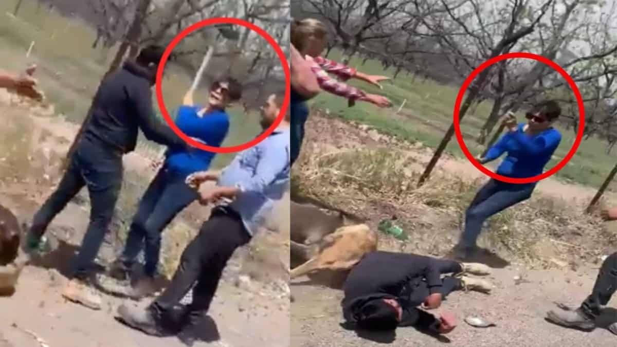 Los internautas la llamaron Lady Azadón a una mujer por fracturarle el cráneo a un joven y golpear a dos perros en Chihuahua.