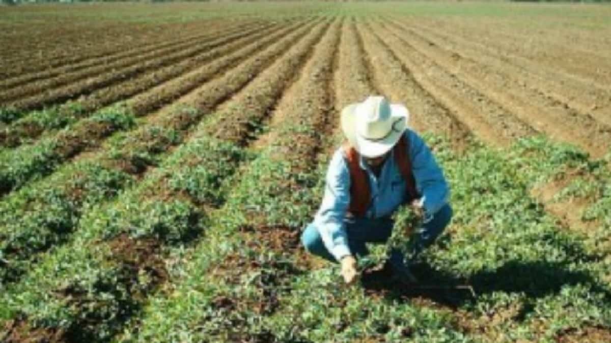 El actual gobierno esta llevando a México a una situación nunca vivida por el país, lo que nos hace reflexionar que se hizo mal en estos años.