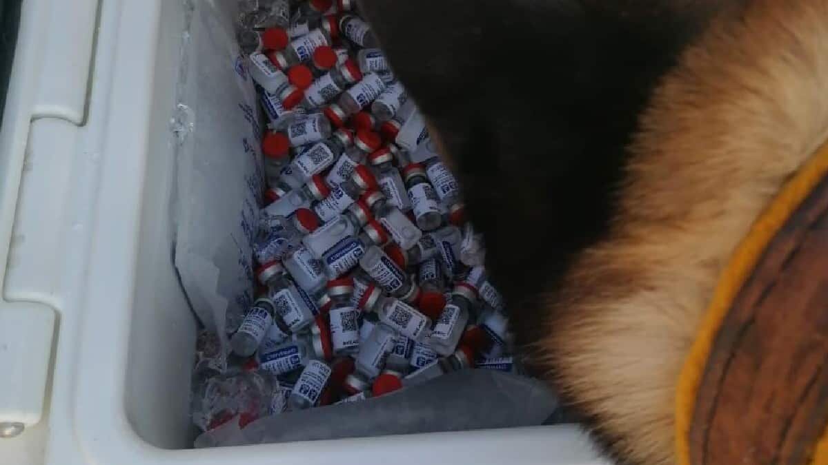 Decomisan más de 5 mil dosis de Sputnik V ocultas entre refrescos; iban a Honduras
