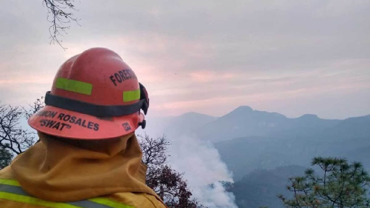 Cientos de personas pudieron regresar a sus casas, luego de que fueron desalojados por los incendios que afectan Nuevo León y Coahuila.