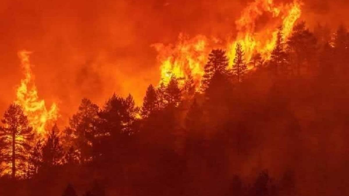 Cientos de personas pudieron regresar a sus casas, luego de que fueron desalojados por los incendios que afectan Nuevo León y Coahuila.