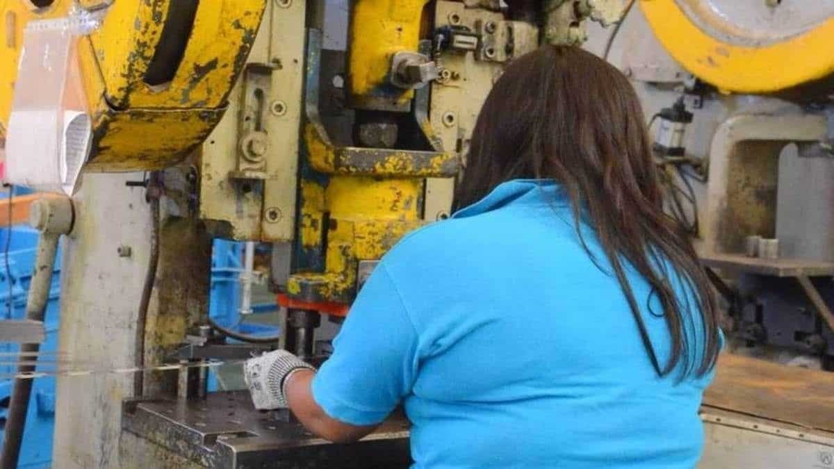 Ahora las empresas están obligadas a repartir utilidades a sus trabajadores