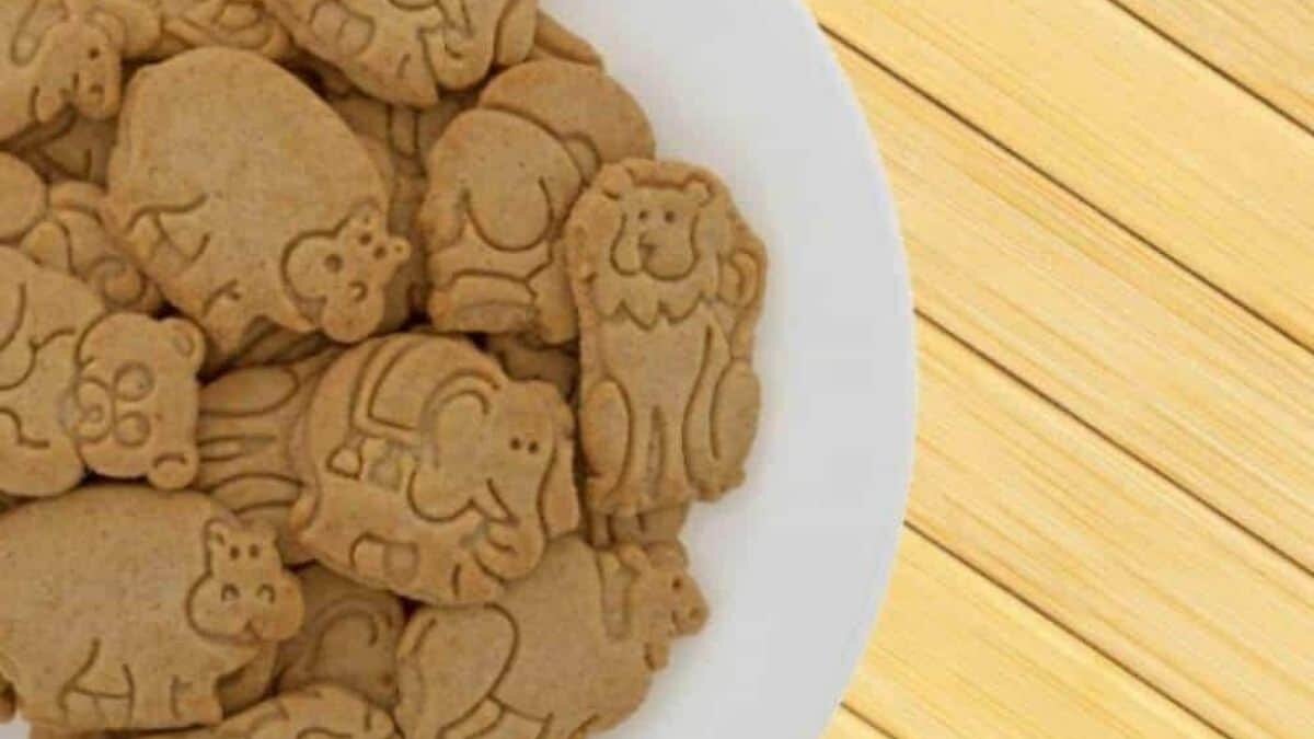 Veganos buscan prohibir el consumo de 'galletas de animalitos' por incitar al maltrato animal