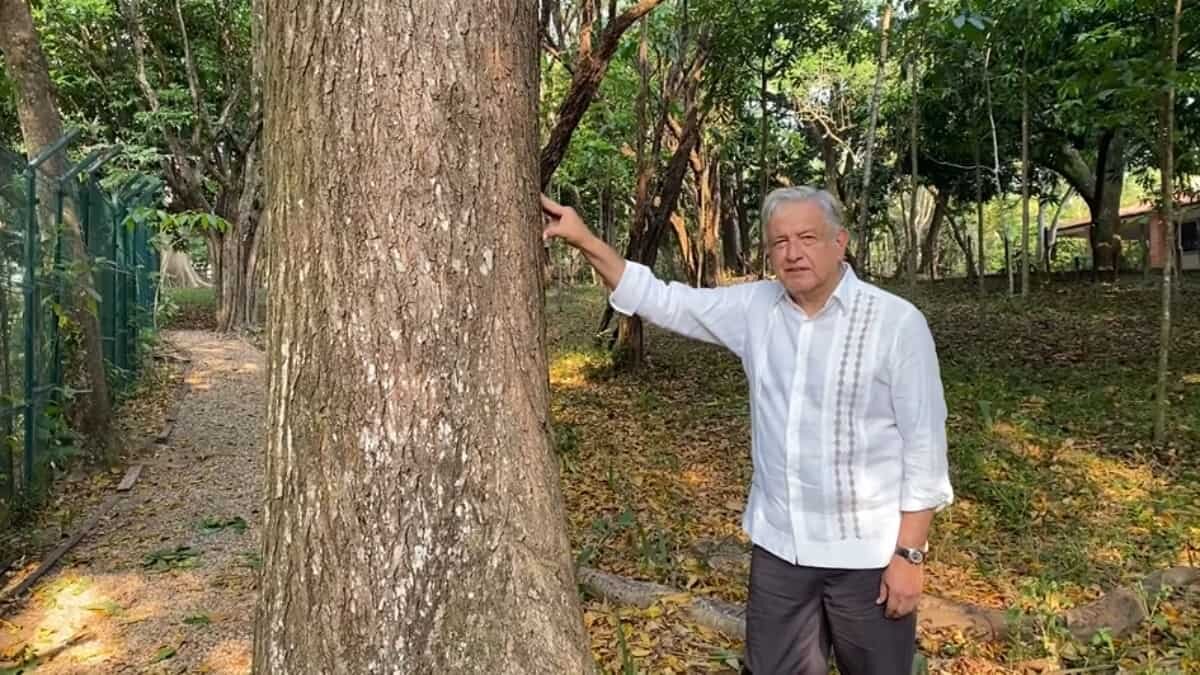 Así funcionarían las visas de trabajo que AMLO propondrá a Biden