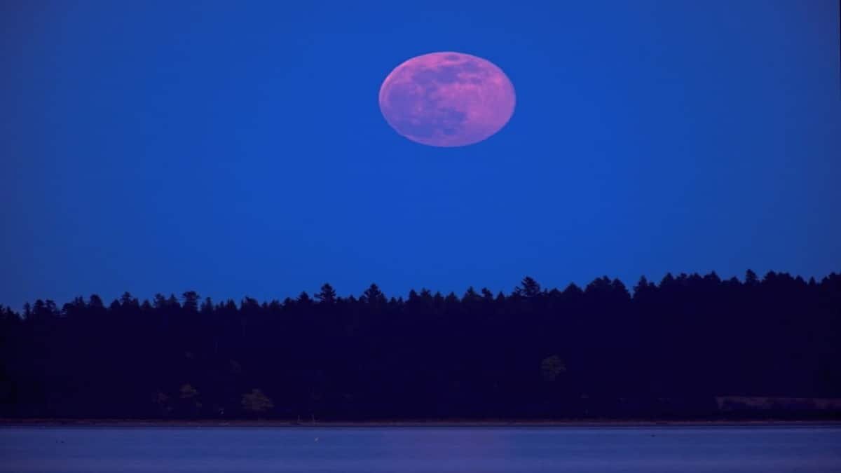 La Superluna rosa no cambia de color, sólo es para distinguirla de las demás.