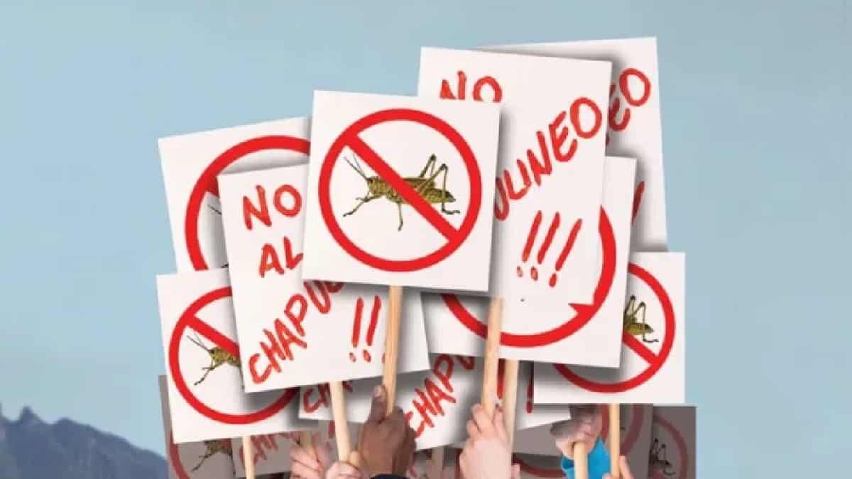 La jornada electoral del 6 de junio no estuvo exenta de la bonita práctica llamada ‘chapulineo’. ¡Aquí te contamos!