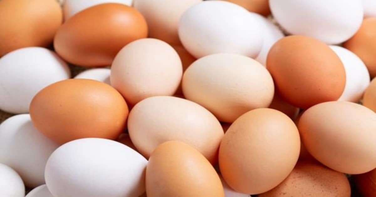 ¡Por los cielos! Precio del huevo sube 12 pesos en la 4T