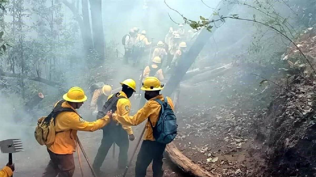 El incendio en el Tepozteco ha consumido más de 50 hectáreas de la reserva natural, además de que no se ha podido controlar.