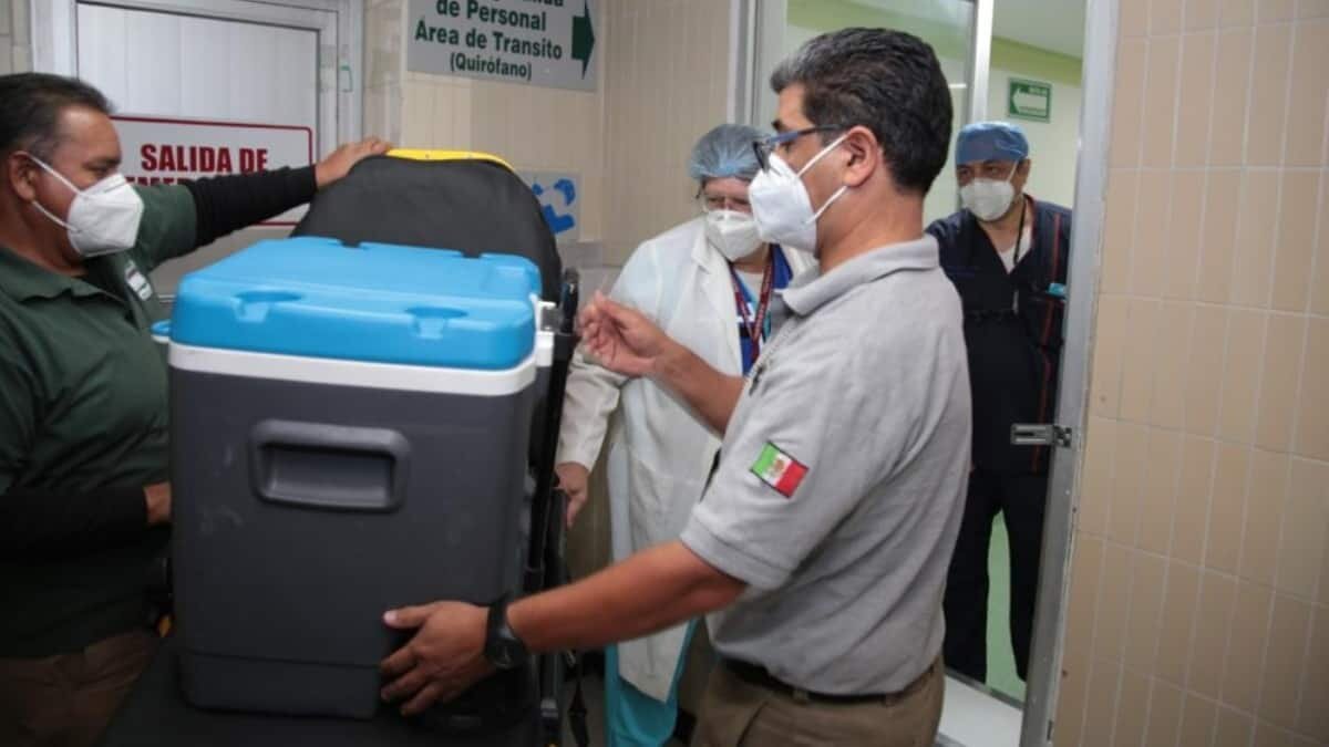 El IMSS también reinició los programas de donación y trasplantes de órganos.