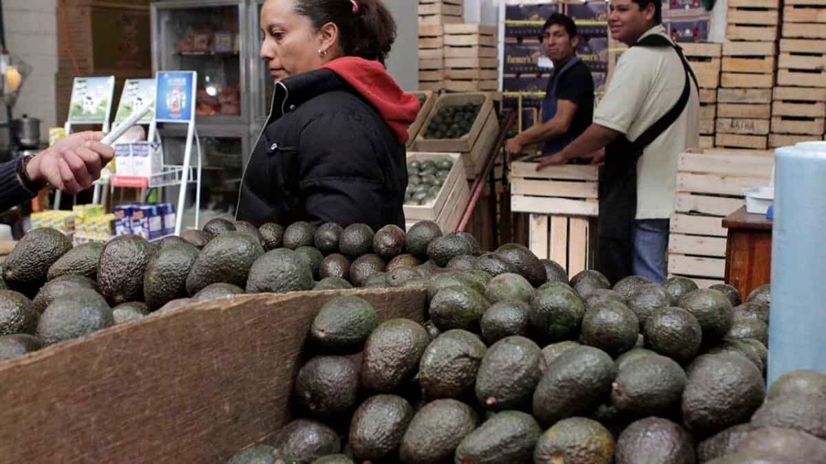 El aguacate y el limón registran incremento en sus precios en las últimas semanas.