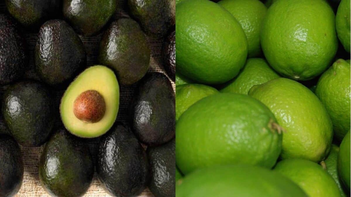 ¡Por las nubes! Aguacate y limón alcanzan precios exorbitantes
