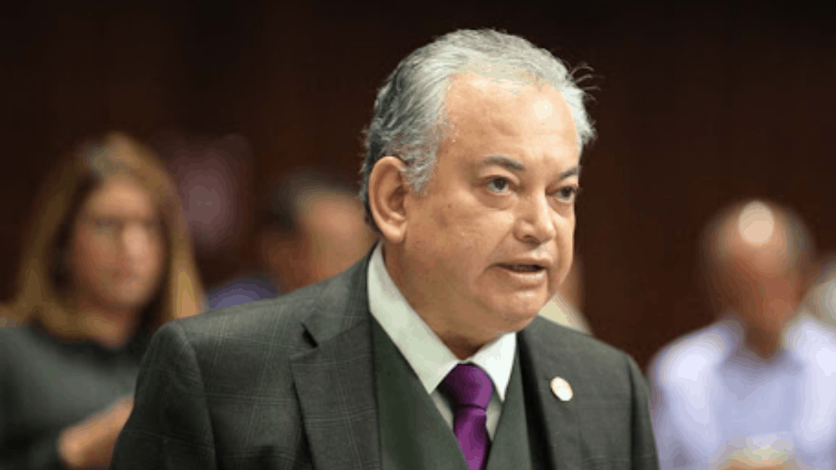 De acuerdo con una presunta carta filtrada, el legislador plantea que se nacionalicen todos los Afores para que ese dinero se utilice en los proyectos del Aeropuerto de Santa Lucía, Tren Maya y Refinería de Dos Bocas.