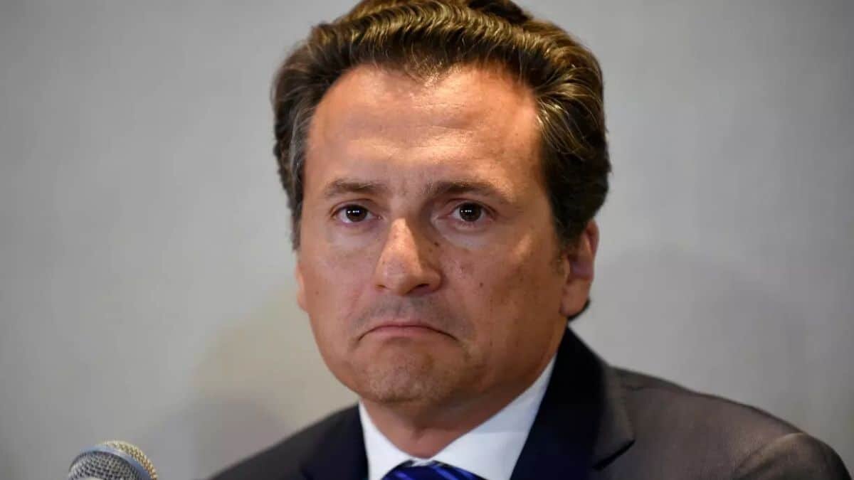 Entre los delitos cometidos por parte de funcionarios y ex funcionarios, se encuentran lavado de dinero, corrupción, evasión fiscal y delincuencia organizada.