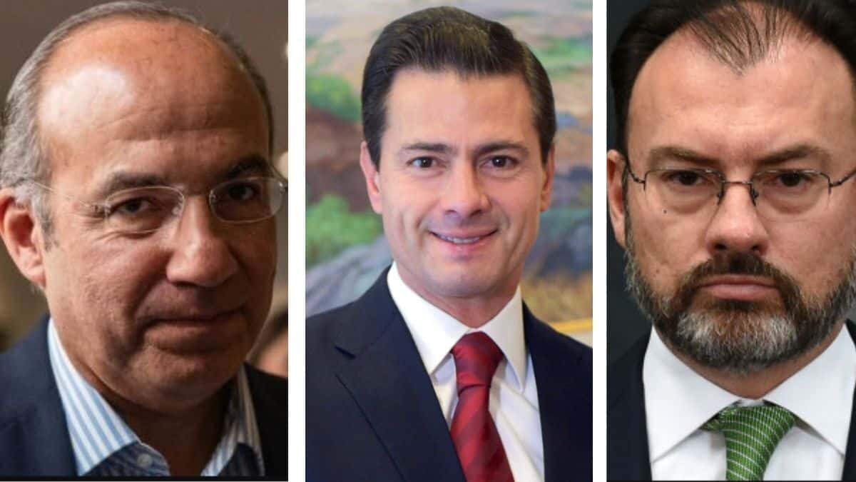 Entre los delitos cometidos por parte de funcionarios y ex funcionarios, se encuentran lavado de dinero, corrupción, evasión fiscal y delincuencia organizada.