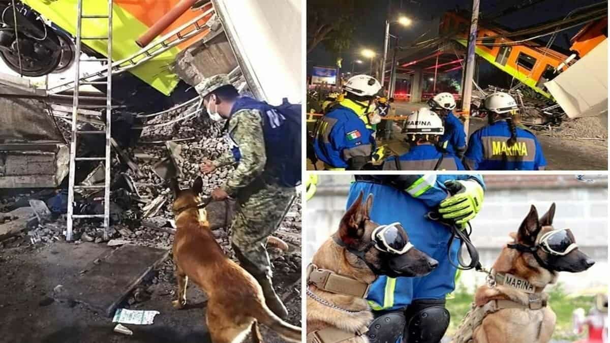 Evil y Ecko se convirtieron una vez más en héroes al participar en el rescate de víctimas en la Línea 12 del Metro.