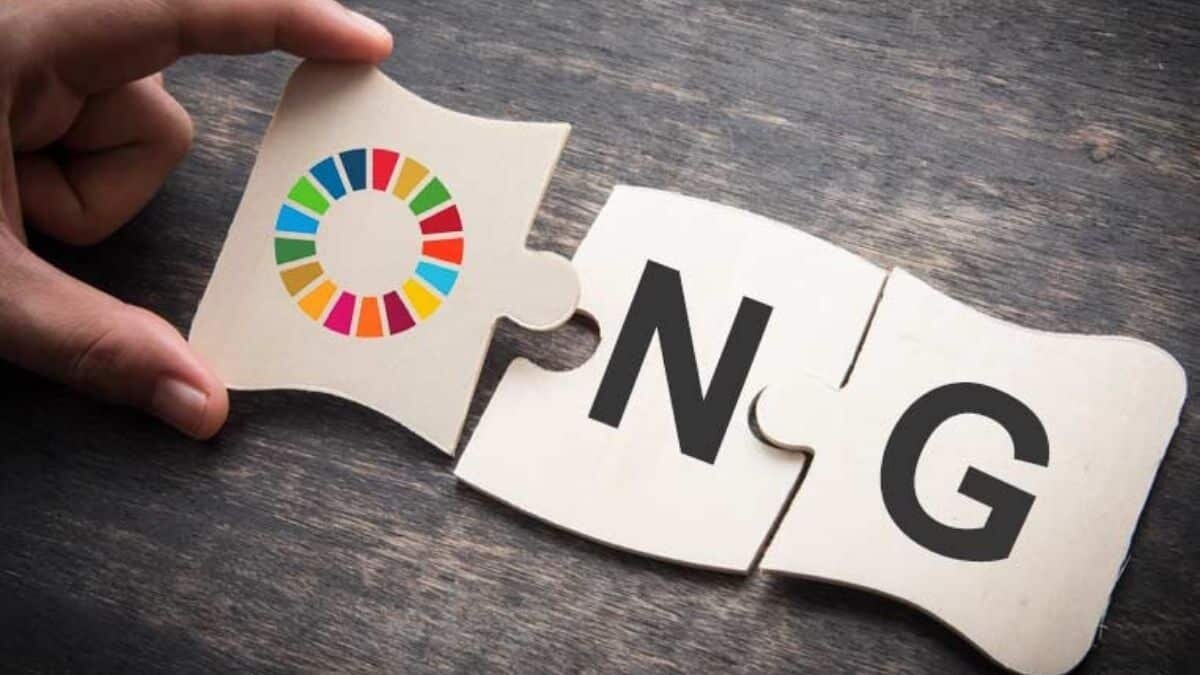 ¿Qué son las ONG’s, por qué son necesarias? Aquí 3 motivos