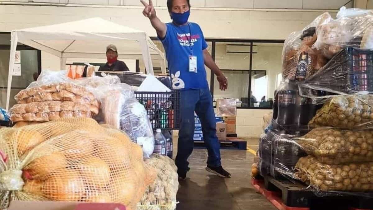 Pacto por la comida: combate desperdicios y distribuye alimentos para todos