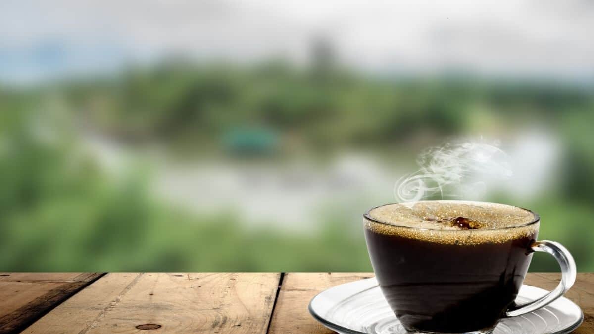 Los investigadores creen que la cafeína combate la cirrosis hepática