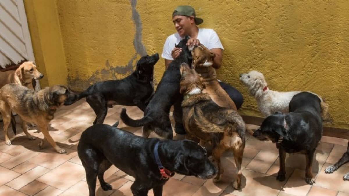 Este albergue protege y busca hogar a los perritos desprotegidos desde hace 22 años.