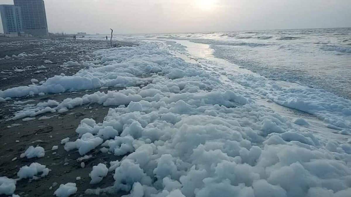Clausuran playas de Coatzacoalcos por aparición de espuma
