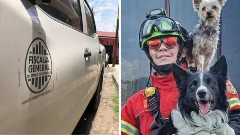Detienen al presunto asesino de los perritos rescatistas, Athos y Tango