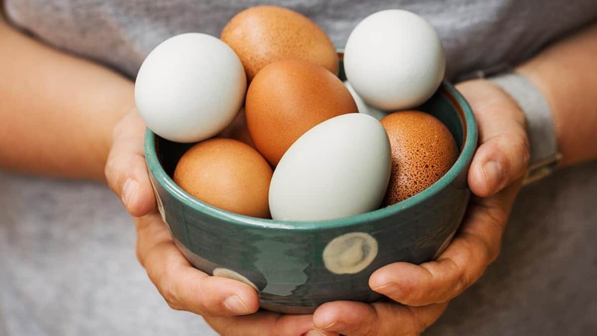 ¿Blanquillos o rojillos? Aquí te contamos que huevo es más nutritivo