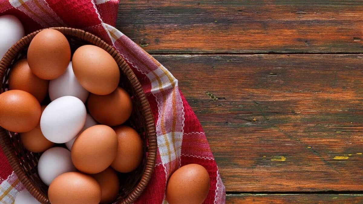 ¿Blanquillos o rojillos? Aquí te contamos que huevo es más nutritivo