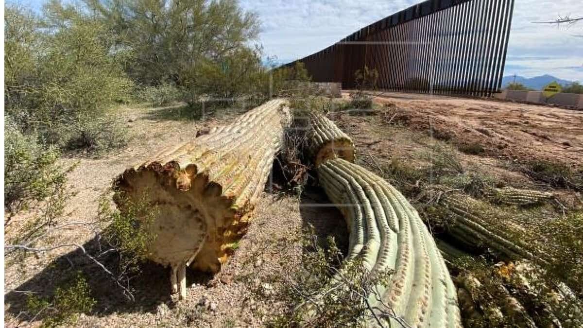 La Unesco pidió que EU rehabilite los daños provocados por la construcción del muro con México.