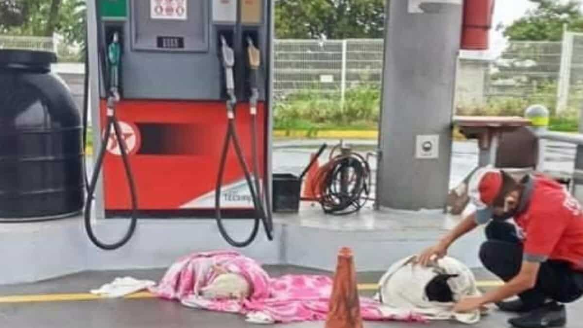 El joven se volvió viral al mostrar su calidad humana y proteger del frío a los indefensos animales.