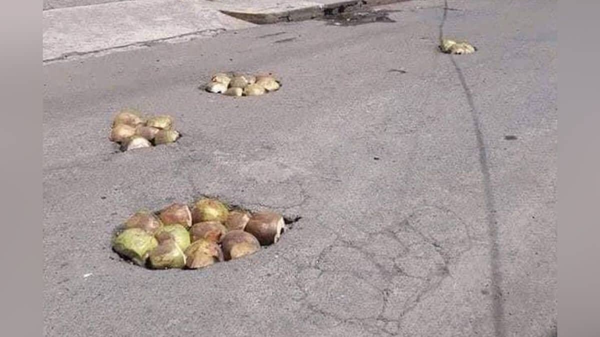 Utilizan cocos para tapar numerosos baches