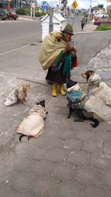 Indigente protege a sus perritos del frío con costales