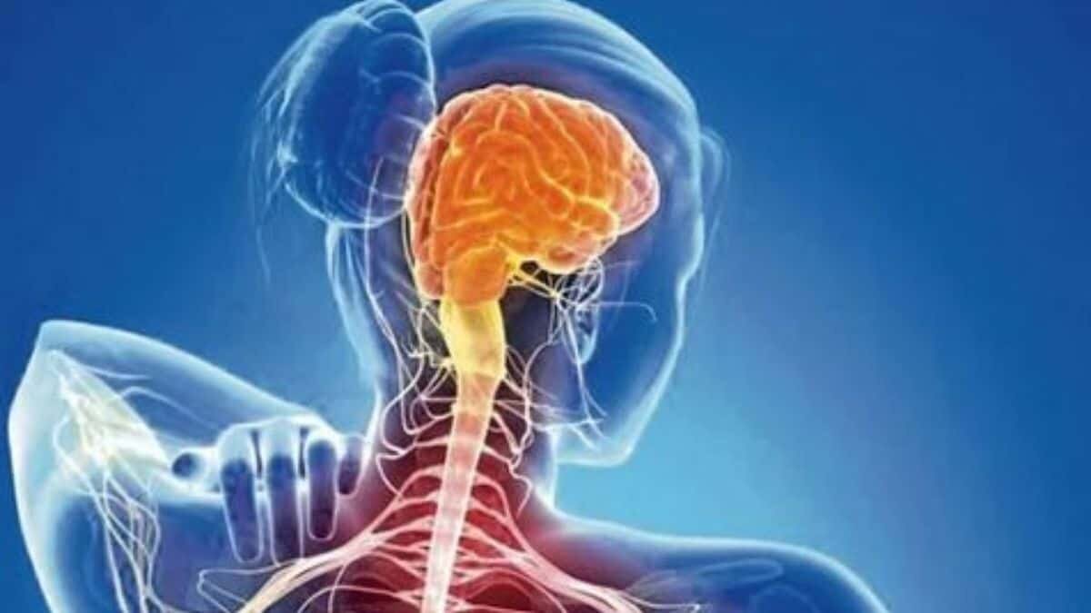 Conoce la esclerosis múltiple, la enfermedad que afecta a la actriz Christina Applegate
