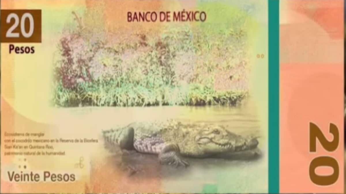 En redes sociales ya circulan las imágenes de los nuevos billetes de 20 y 50 pesos, los cuales se prevé sean presentados en septiembre.