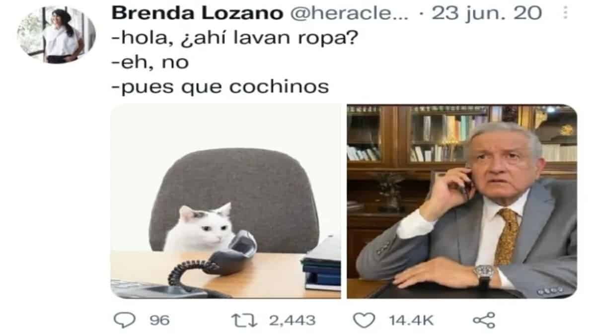 Internautas pidieron la destitución de la escritora Brenda Lozano por realizar burlas dirigidas contra el presidente.
