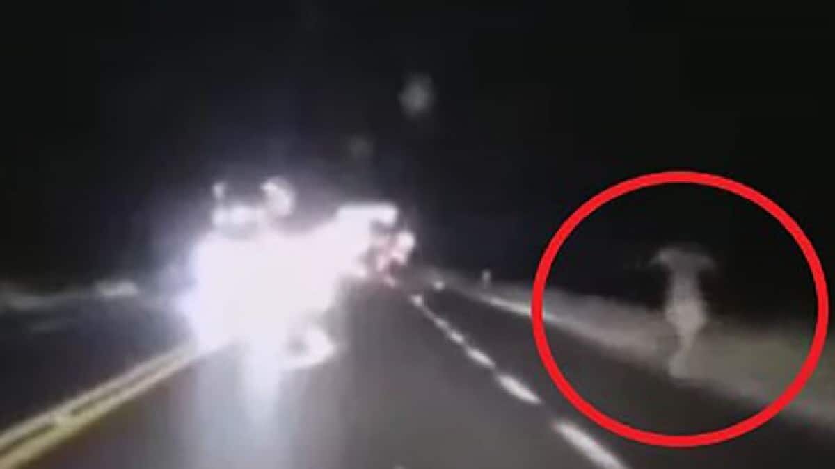 La mujer presuntamente sería la afamada Llorona, la cual apareció en una carretera del norte de México.