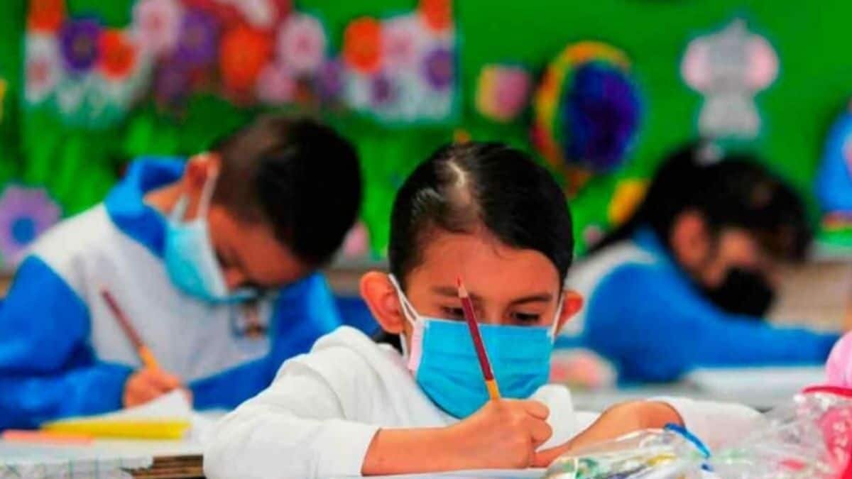 Esto te costará el kit de regreso a clases seguro