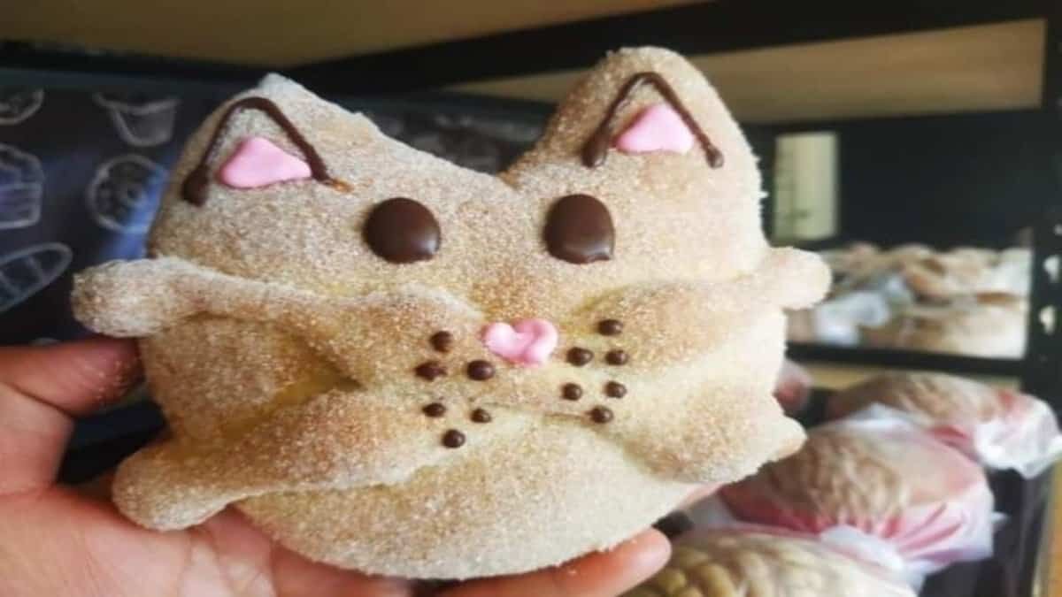Llega el "michimuerto", el pan de muerto para los amantes de los gatos (Fotos)